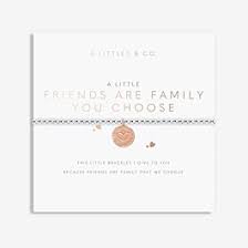 A Little "Friends are Family You Choose" Bracelet Silver