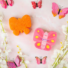 Sponge Nature Animals Collection - Butterfly
