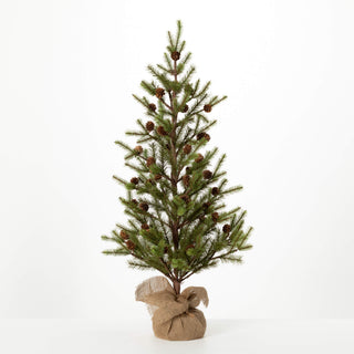 TR1177 Large Pinecone Tree in Burlap