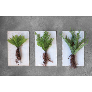 Faux Fern with Exposed Roots (3 styles)