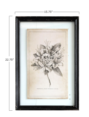 Framed Wall Decor with Floral Image - set of 4