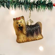 12151 Yorkie Orn