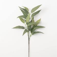 Eucalyptus Leaf Spray