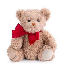 Christian - Plush Bear