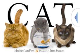 Cat - Book