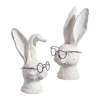 4311109 8Ó Rabbit with Glasses