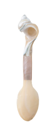 Natural Shell Spoon, Iridescent Finish
