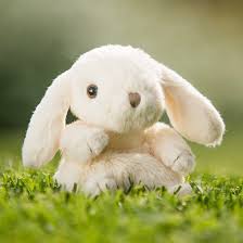 Friendly Kanini - White