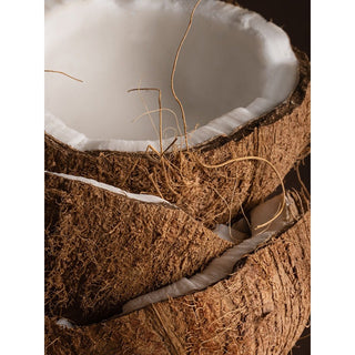Pura Scent - Coconut Calm (Becki Owens) - Smart Refill
