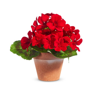 Potted Miniature Red Geranium 7.5" 4402201