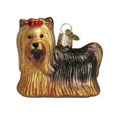 12151 Yorkie Orn