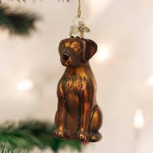 12387 Chocolate Labrador Orn