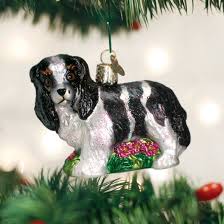 12612 King Charles spaniel Orn