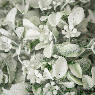 FRORB Frosted Green Boxwood Orb