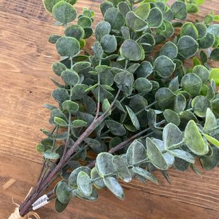 27Ó Eucalyptus Bundle Grey