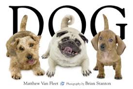 Dog - Book