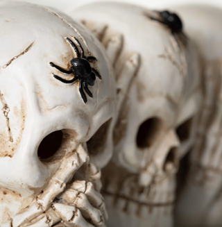 PR3045 Skull figure White