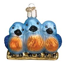 16060 Feathered Friends Ornament - OWC
