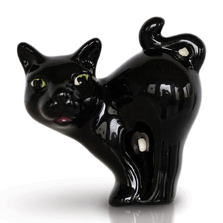 A419 Scaredy Cat