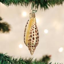 12465 Junonia Shell Orn