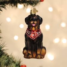 12696 Rottweiler Ornament - OWC