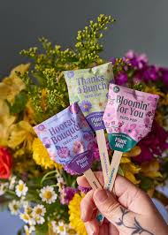 Flower Seed Pop - Thanks a Bunch Daisy & China Aster