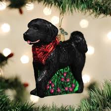 12560 Black Doodle Dog Orn