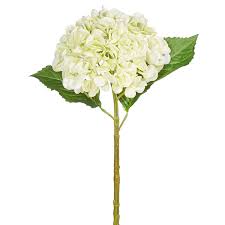 20Ó Real Touch Light Green Hydrangea Stem F4022626