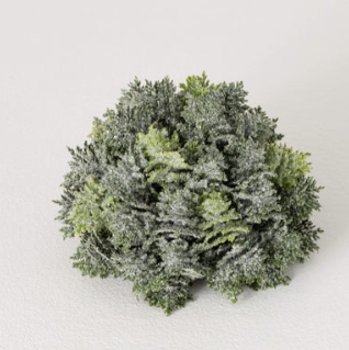 Cypress Orb