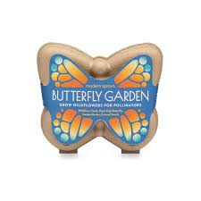 Curious Critters Activity Kit - Butterfly