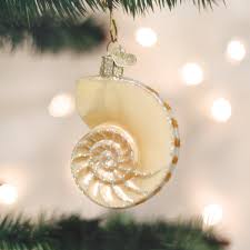 12150 Nautilus Shell Orn