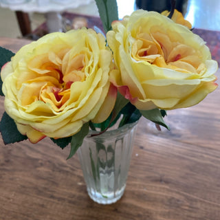 Yellow Rose in Glass