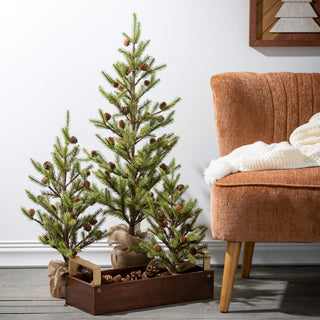 TR1177 Large Pinecone Tree in Burlap