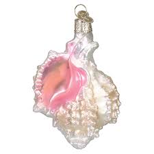 12177 Mexican Shell Orn