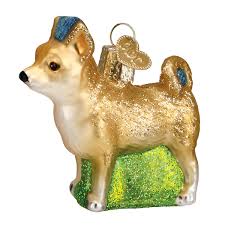 12281 Chihuahua ORN