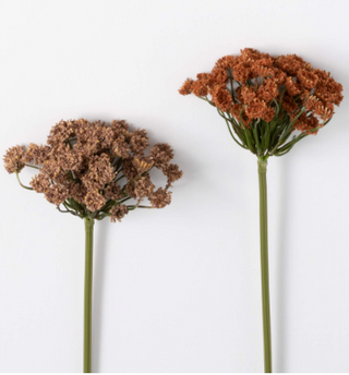GG1004RU Queen Anne's Spray Rust