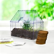 Gift Republic - Green House Grow Kit Novelty
