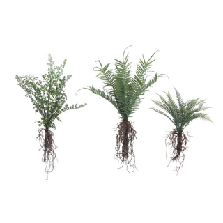 Faux Fern with Exposed Roots (3 styles)