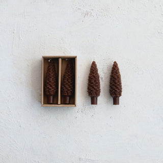 Unscented Pinecone Shaped Taper Candles in Box, Brown, Set of 2